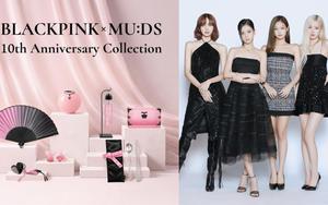 Blackpink kỷ niệm 10 năm bằng dự án chưa từng có với Bảo tàng Quốc gia Hàn Quốc