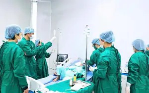 Hà Nội chưa có cơ sở nào được phép ứng dụng tế bào gốc trong khám, chữa bệnh