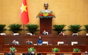 Sửa Luật Xuất bản: Hình thành 'ba vòng kiểm soát' tác phẩm về lãnh tụ, lịch sử dân tộc