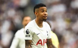 Bi kịch Tottenham