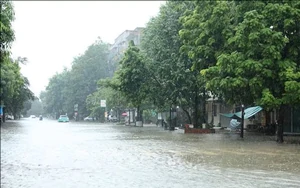 Mưa lớn gây nhiều thiệt hại tại các địa phương
