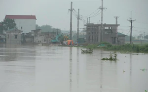 Hà Nội bác tin đồn vỡ đê tả Bùi