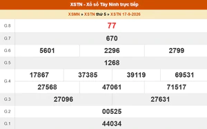 XSTN 24/9 - Kết quả xổ số Tây Ninh hôm nay 24/9/2026 - Trực tiếp xổ số hôm nay ngày 24 tháng 9