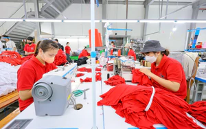 Nghị quyết số 57-NQ/TW: AI tiếp sức thanh niên khởi nghiệp, phát triển kinh tế