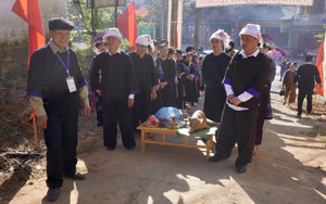 Sôi nổi Lễ mừng cơm mới của người Mông vùng cao Púng Luông