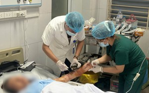 Ngày Thế giới phòng chống bệnh dại 28/9: Cảnh báo nguy cơ tổn thương nặng và nhiễm trùng từ vết chó cắn