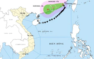 Tin cuối cùng về bão số 5
