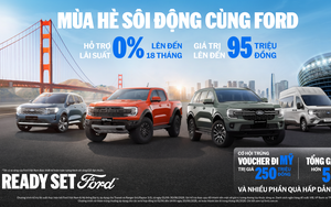 Nghệ sĩ, vận động viên, nhà hoạt động môi trường đi cùng chương trình "Sống rộng cùng Territory"