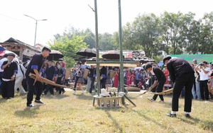 Từ "hợp nhất" đến "tích hợp"… (kỳ 2): Để văn hóa không bị "hòa tan" trong một chương trình lớn