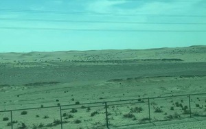 Cùng đội tuyển Việt Nam ‘khám phá’ Al Ain