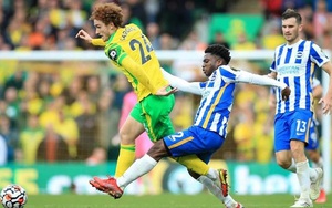 Soi kèo nhà cái Brighton vs Norwich. Nhận định, dự đoán bóng đá Anh (21h00, 2/4)