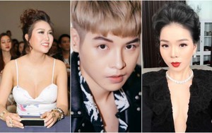 Sao Việt phẫu thuật thẩm mỹ: Ai là người thành công nhất?