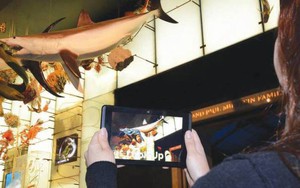 Đánh thức bảo tàng nhờ 'thực tế ảo'