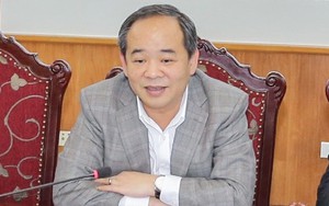 Thứ trưởng Lê Khánh Hải nói về 'ảnh Lý Nhã Kỳ trên pano ở Cannes'