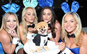 Người mẫu Playboy bị phạt ba năm quản chế chỉ vì 1 bức ảnh