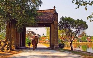 Hồn làng: Những nông dân không ruộng/ Bỗng dưng thành mồ côi