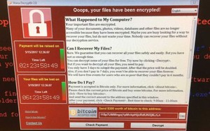 Tổng thống Putin lên tiếng về vụ mã độc tấn công 'tống tiền' toàn cầu