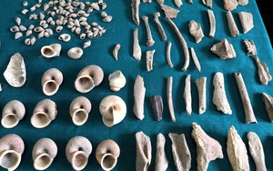 Lộ diện di chỉ tiền sử cực kỳ độc đáo ở Hà Giang