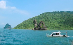 Quảng Ninh: Vườn Quốc gia Bái Tử Long là Vườn Di sản thứ 38 của ASEAN