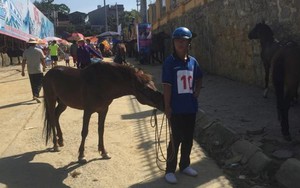 VIDEO: 'Chết cười' với màn đua ngựa Bắc Hà