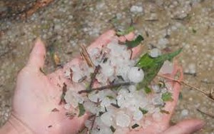 Bảo hiểm hỏa hoạn và mưa đá