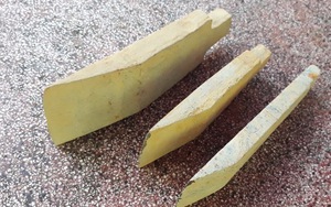 Người dân Bình Phước bất ngờ tìm thấy cổ vật thời tiền sử