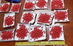 Phá chuyên án ma túy, thu giữ 10.000 viên ma túy tổng hợp