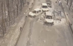 VIDEO: Cháy rừng làm 62 người chết trên đường ở Bồ Đào Nha