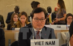 Liên Hợp Quốc thông qua dự thảo nghị quyết do Việt Nam là đồng tác giả