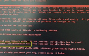Mã độc Petwrap tấn công dồn dập mạng toàn châu Âu