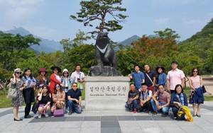 Khám phá 'xứ sở thần tiên' Gangwon, Hàn Quốc