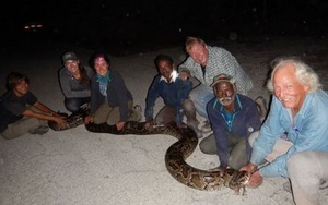 Phát hiện cả đàn trăn Myanmar 'khủng' trong căn cứ tên lửa bỏ hoang của Mỹ