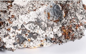 'Bán vé xem mỹ thuật' là văn minh và sòng phẳng?