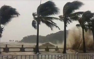 VIDEO: Siêu bão Hato nhấn chìm Trung Quốc trong biển nước