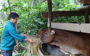 Bắc Giang huy động và sử dụng hiệu quả giúp nguồn lực để giảm nghèo bền vững