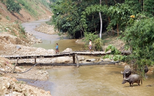Phú Thọ xây dựng 66 cầu dân sinh vùng đặc biệt khó khăn