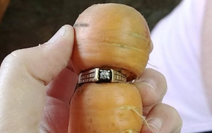 Tìm thấy nhẫn kim cương mất tích 13 năm trên củ cà rốt trong vườn