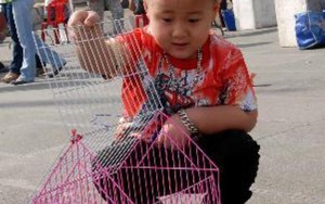 Rằm tháng 7, phóng sinh thế nào để phóng sinh không thành phóng tử?