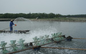 Những đổi thay trên vùng đầm phá Tam Giang: Khai thác tốt hệ đầm phá Tam Giang