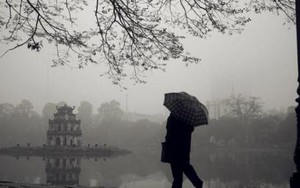 Mất ngâu: Năm nay ngâu ít quá/ Mất còn người chẳng hay