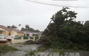 Siêu bão Irma quét qua Florida, 6 triệu người phải sơ tán