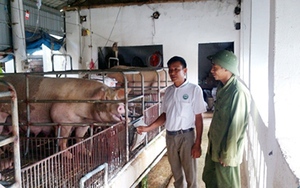 Bắc Giang đầu tư 394 tỷ cho các dự án vùng đồng bào dân tộc và miền núi năm 2018