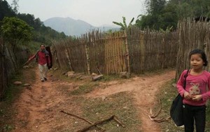 Lá đơn buồn về giáo dục