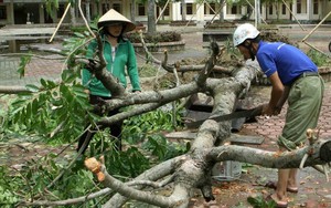 Dân Hà Tĩnh hối hả dọn dẹp, khắc phục hậu quả bão số 10