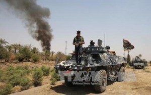 Hơn 300 tay súng IS bị tiêu diệt trong các cuộc không kích ở Iraq