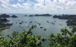 Trở lại Cát Bà sau ngày thông xe cầu Tân Vũ