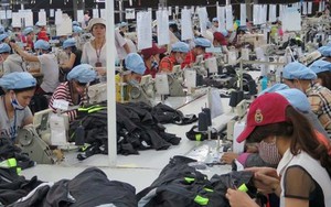 Nghịch lý lương tối thiểu cao hơn năng suất lao động