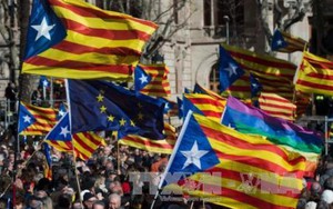 Nghị viện Catalonia chấp thuận giải thể cơ quan lập pháp mới, Thủ hiến bỏ trốn ra nước ngài