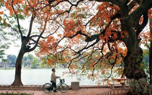 Xuất hiện dải hội tụ nhiệt đới, phía Nam có mưa dông, miền Bắc hanh khô