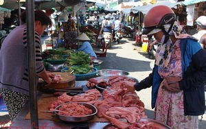 Đau đầu gỡ vướng việc đeo thêm 2 cái vòng cho mỗi con lợn để 'truy xuất'